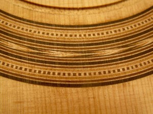 rosette2